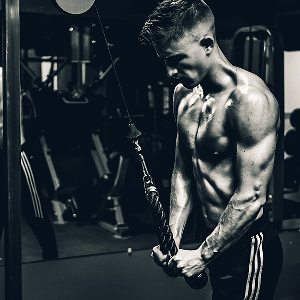 Beginner Fitness